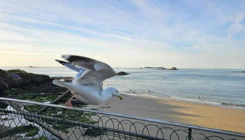 Vue pleine mer à la Perle Marine - La Terrasse - Foto 4