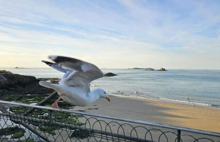 Vue pleine mer à la Perle Marine - La Terrasse - Foto 4