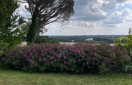 Métairie de Moutiques - Photo 40