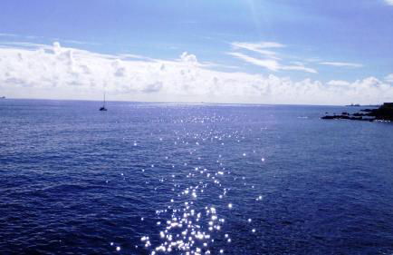 Casa Do Atlântico - Photo 24