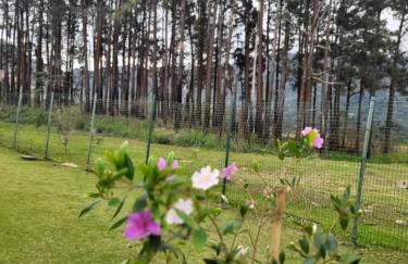 Loft Condado Bl 2 Ap 116 Aldeia dos Reis Sahy - Foto 28