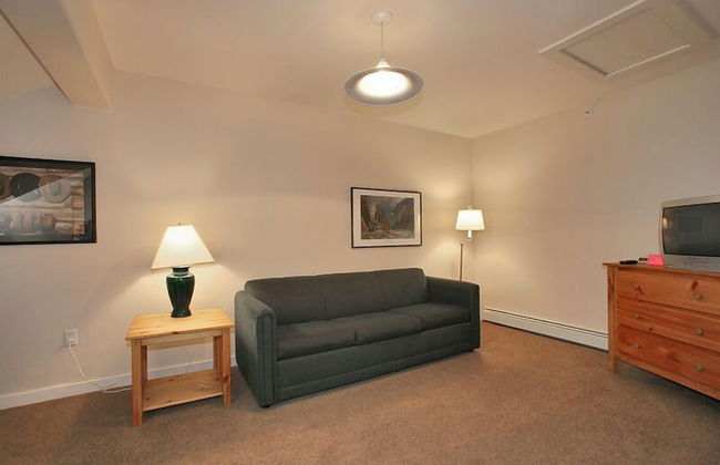 Swan Mountain Resort - Foto 6