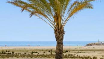 1ª LÍNEA DE PLAYA. Apartamento: LA CALMA - Foto 2