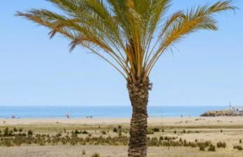 1ª LÍNEA DE PLAYA. Apartamento: LA CALMA - Foto 2