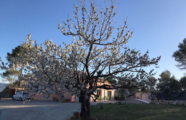 Appartement les Ecureuils - Photo 30