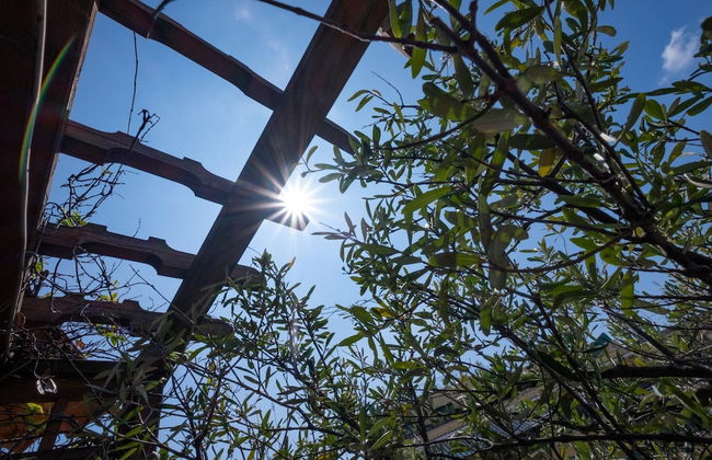 Apartment in Rome - Photo 29