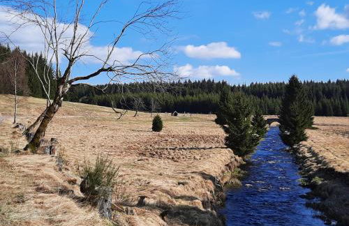 Ferienhaus am Erzgebirgskamm - Foto 30