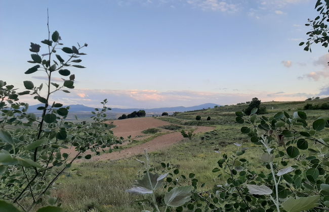 Casa Rural Garnacha de Borja has a Barbacue and Terrace - Foto 52