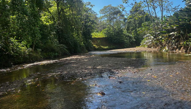 Immerse yourself in nature