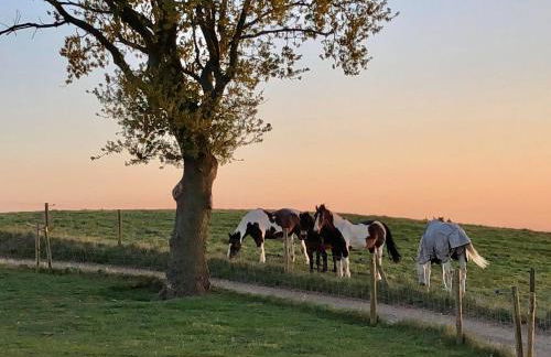 FAIRVIEW FARM Holiday Accommodation 14 Luxury Lodges, Cabins, Dog Friendly, Suitable for Couples, Families and Groups, Wedding Guests , Corporate events, Sleeps 2-65 guests in Ravenshead, Nottingham near Sherwood Forest, set in 88 acres - Photo 34