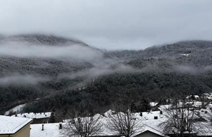 Casa en Planoles - Foto 11