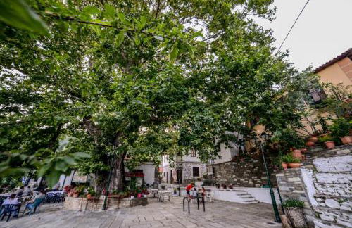 Filoxenia- Drakia - Foto 40