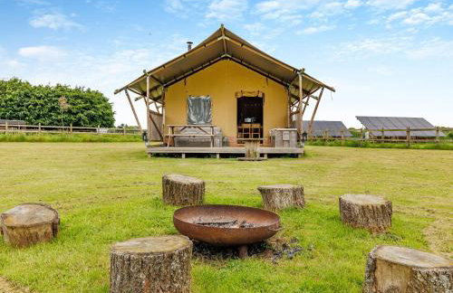 Muntjac - Uk47396 - Foto 18