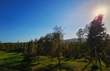 Villadora - Foto 40