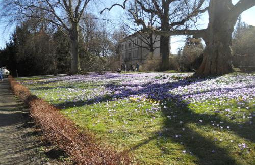 Ferienhaus Zittau Oberlausitz & Ferienwohnung am Hamann Berg - Foto 79