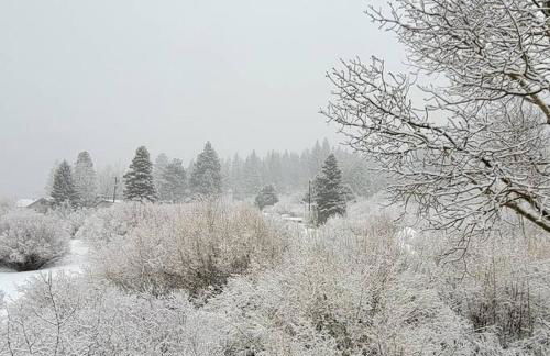 Lakefront Mountain Retreat - Foto 15