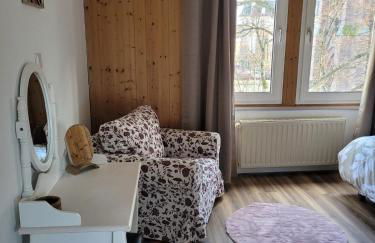 Chez Diane Colmar - Foto 8