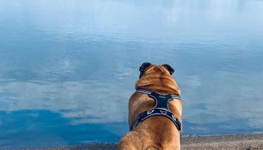 Hausboot Arneburg - Foto 4