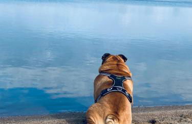 Hausboot Arneburg - Foto 4