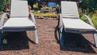 Casa Palmera - Photo 5, Garden