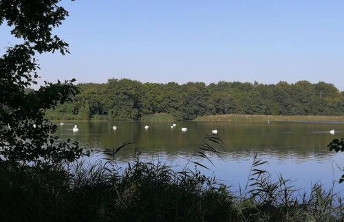 Doberschützer Hof - Foto 44