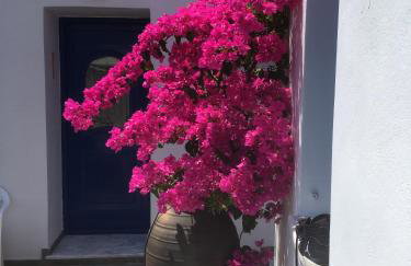 AEGEAN VIEW - Foto 19