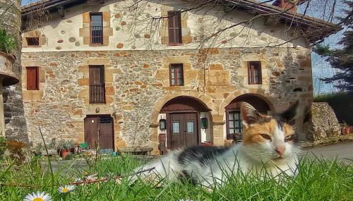 Casa Rural Areano - Foto 1, Garden