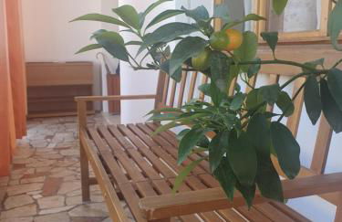 Margi House - Foto 30