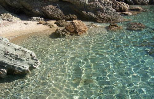 LikoremaView - Photo 22