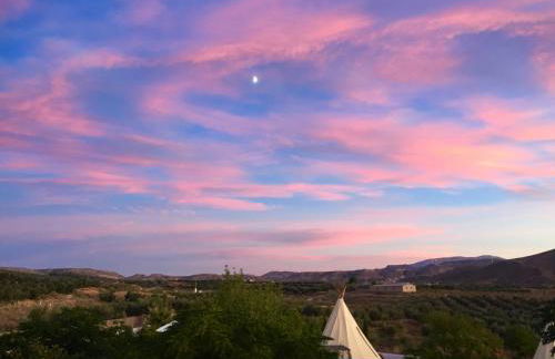 Beautiful Teepee with private facilities - Foto 33