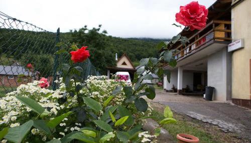 Apartmani Ruza - Foto 3, Garden view