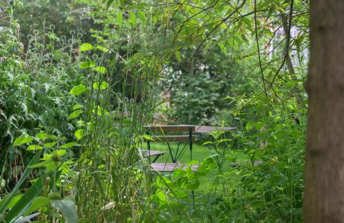 Colmar Friends and Familly guest home - ALL INCLUSIVE - COLMAR Gare - Jardin - Combles et Vous - Foto 25