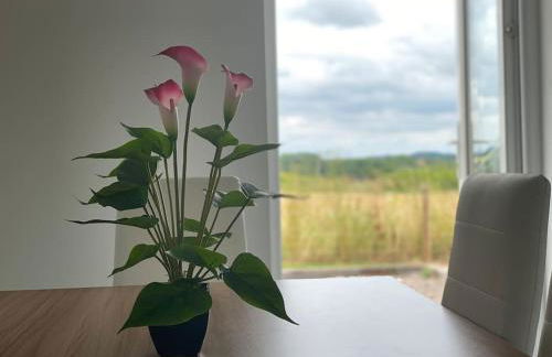 Cosy bungalow with views, walks, garden & parking. - Foto 76