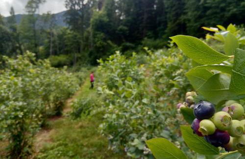 Agriturismo Verdecrudo - Foto 25