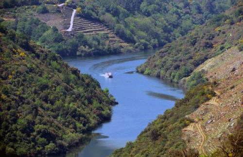 A Lareira De Allariz - Foto 17