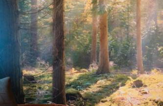 AlbPanorama Fewo mit Infrarotsauna und Gartenblick - Foto 12