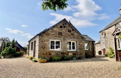 Cwt Tyddyn Shepherd's Hut - Foto 17