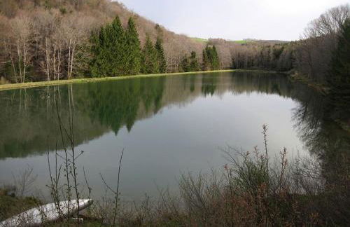 Large and Spacious Lakeside Cabin with Mountain Views in Fairhope, Pennsylvania - Foto 19