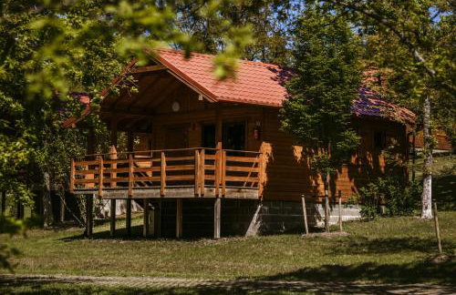 Domki w lesie nad Drawskim - Foto 25