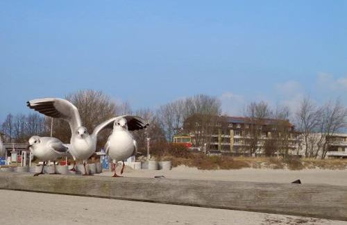 Apartment Leuchtturm 16 - Foto 29