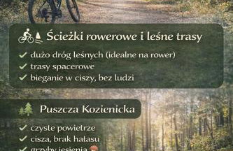 Leśny Azyl w Puszczy Kozienice - Foto 17