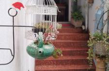 Muito espaço e natureza no meio da cidade - Foto 23