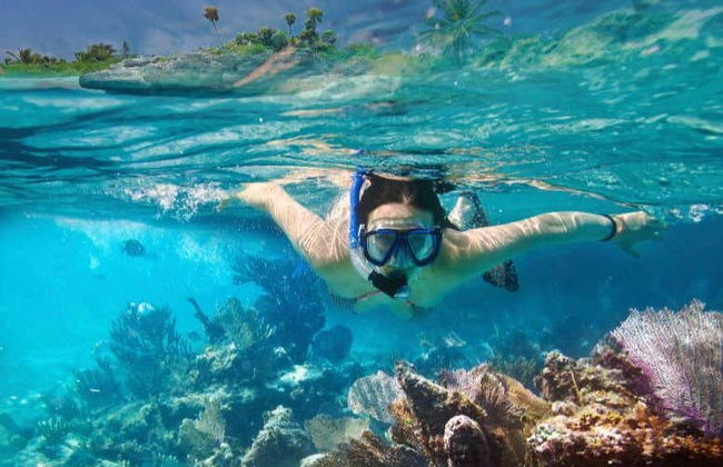 Snorkeling a Unawatuna - Foto 2