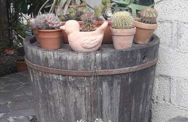 La casa di Eva - Foto 38