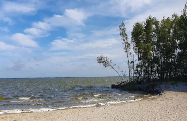 Ferienhaus in Fuhlendorf - Foto 29