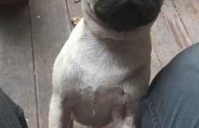 Gästehaus By George - Foto 11