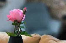 Holiday Home Forest INN - Foto 52