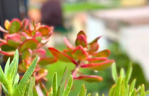 Cal Harrys - La Mejor Casa de vacaciones en Pyrenees con Vistas a la Montaña - Photo 52