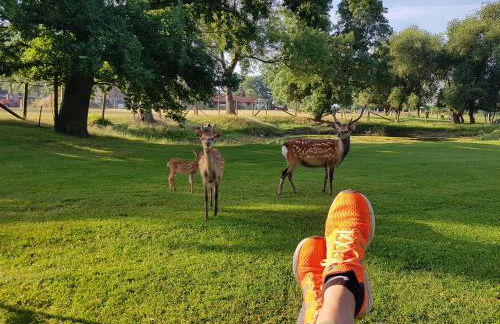 Gutshaus Pinnow - Foto 13