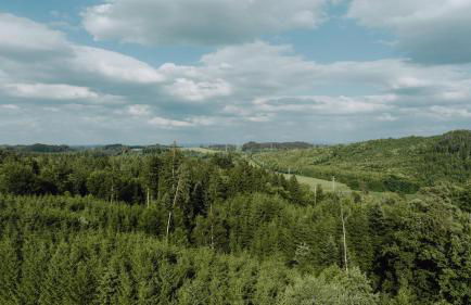 BodenSEE Apartment Neukirch Goppertsweiler HASE - Foto 29